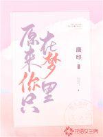原来你只在梦里